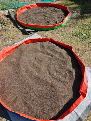 무소유님의 들깨 · 영농일지 작성글 사진