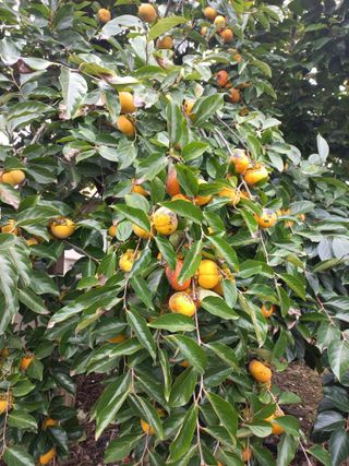 박린님의 자유주제 · 자유게시판 작성글 사진