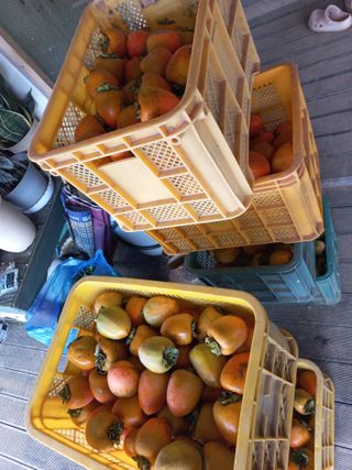 박린님의 자유주제 · 자유게시판 작성글 사진