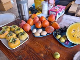 박린님의 자유주제 · 자유게시판 작성글 사진