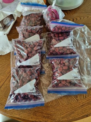 새의눈님의 기타작물 · 영농일지 작성글 사진