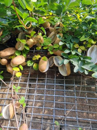 해바우님의 자유주제 · 자유게시판 작성글 사진