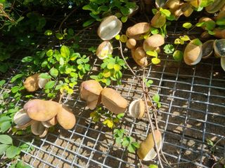 해바우님의 자유주제 · 자유게시판 작성글 사진