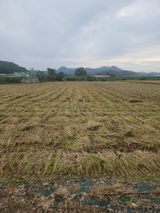 팜모닝 자유주제·사진전 게시글 이미지