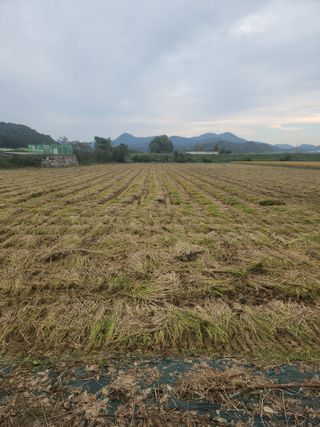 김영주님의 자유주제 · 사진전 작성글 사진