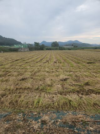 김영주님의 자유주제 · 사진전 작성글 사진