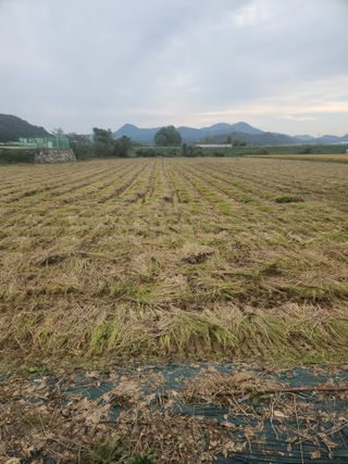 김영주님의 자유주제 · 사진전 작성글 사진