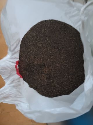 뚜비맘님의 들깨 · 영농일지 작성글 사진