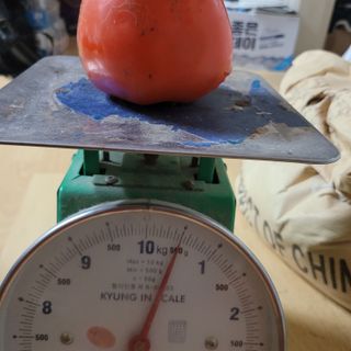 이창화님의 자유주제 · 자유게시판 작성글 사진