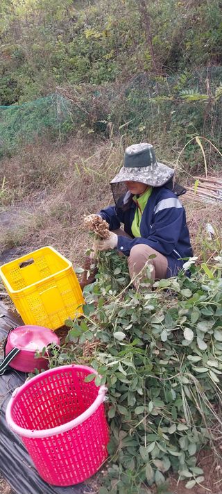 이일철 (조이산골)님의 자유주제 · 자유게시판 작성글 사진