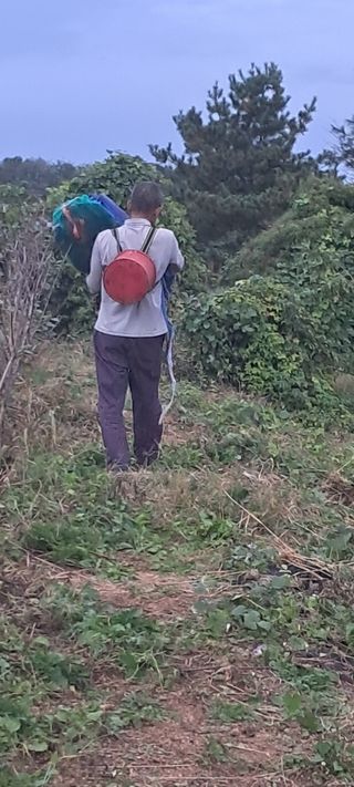 이영미님의 들깨 · 영농일지 작성글 사진