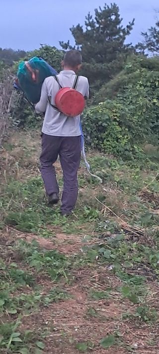 이영미님의 들깨 · 영농일지 작성글 사진