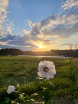 팜모닝 자유주제·자유게시판 게시글 이미지