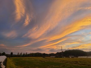 머위농장님의 자유주제 · 자유게시판 작성글 사진