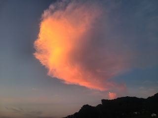 머위농장님의 자유주제 · 자유게시판 작성글 사진