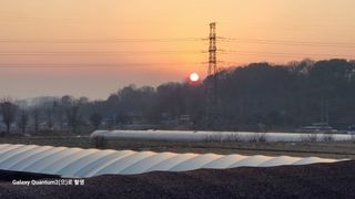 머위농장님의 자유주제 · 자유게시판 작성글 사진