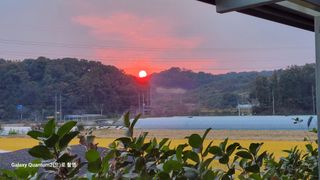 머위농장님의 자유주제 · 자유게시판 작성글 사진