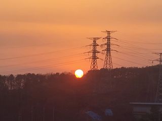 머위농장님의 자유주제 · 자유게시판 작성글 사진