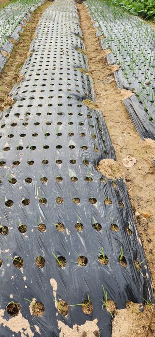 강병택님의 자유주제 · 자유게시판 작성글 사진