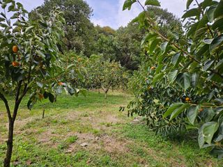 폼만농부님의 자유주제 · 자유게시판 작성글 사진