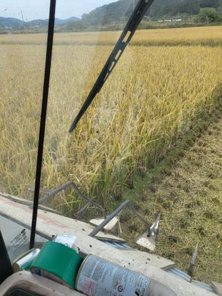 김영진(전남영광)님의 자유주제 · 자유게시판 작성글 사진