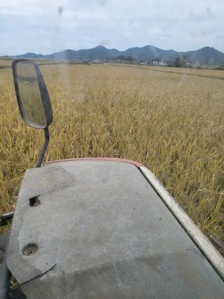 김영진(전남영광)님의 자유주제 · 자유게시판 작성글 사진