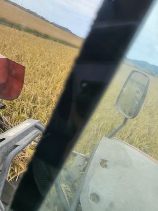 김영진(전남영광)님의 자유주제 · 자유게시판 작성글 사진