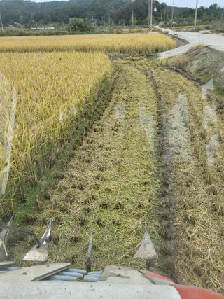 김영진(전남영광)님의 자유주제 · 자유게시판 작성글 사진