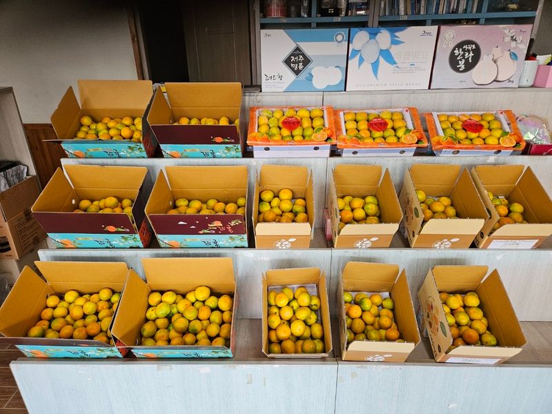 새달귤농장님의 장터 판매 상품 [신품종)  그린향3키로] 첨부 사진