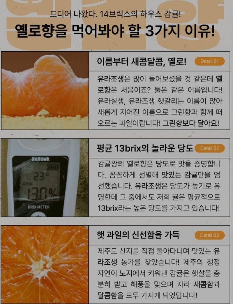 새달귤농장님의 장터 판매 상품 [신품종)  그린향3키로] 첨부 사진