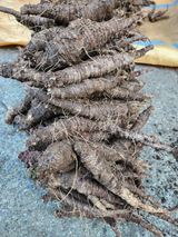 팜모닝 · 게시글 이미지