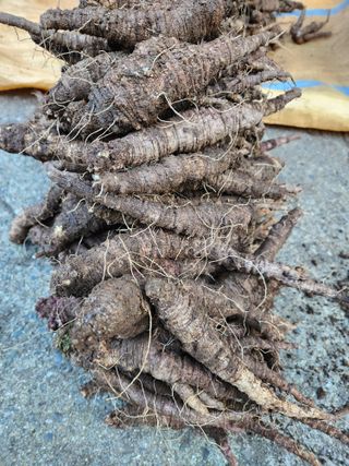 윤미선(농경채인증님의 작성글 사진