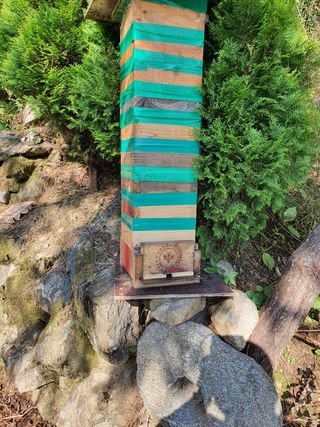 예천토종꿀벌 님의 작성글 사진