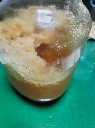 장효기님의 자유주제 · 자유게시판 작성글 사진