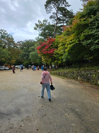 이원희님의 자유주제 · 자유게시판 작성글 사진