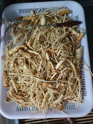 김양석님의 자유주제 · 자유게시판 작성글 사진