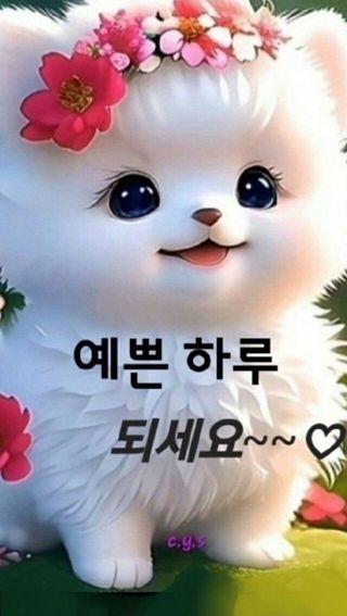 전진규.해돋이님의 파 · 영농일지 작성글 사진