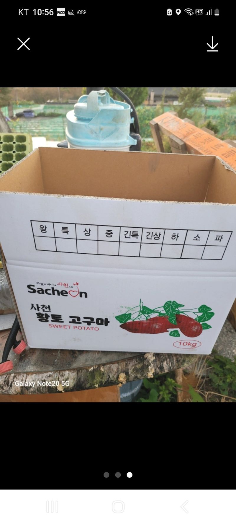 장터 상품 [고구마10kg] 썸네일