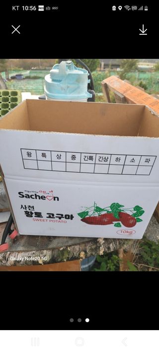 와룡산백곰님의 작성글 사진