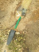 팜모닝 포도·영농일지 게시글 이미지