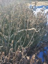 팜모닝 자유주제·자유게시판 게시글 이미지