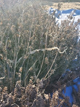 송명자 님의 자유주제 · 자유게시판 작성글 사진