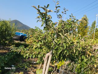 안종범님의 자유주제 · 자유게시판 작성글 사진