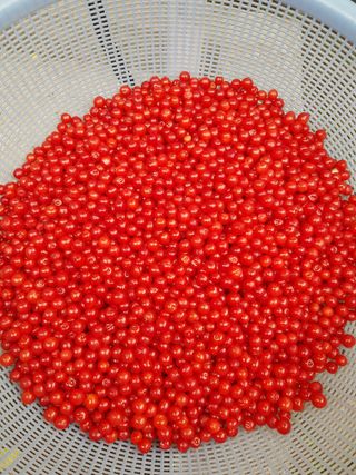 홍성호님의 자유주제 · 자유게시판 작성글 사진