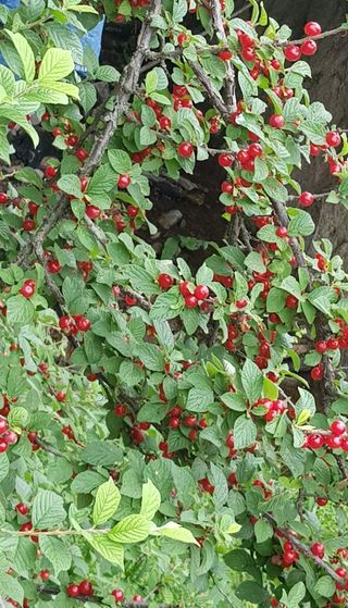 홍성호님의 자유주제 · 자유게시판 작성글 사진