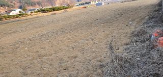 ㄱ 무주 우담님의 자유주제 · 자유게시판 작성글 사진