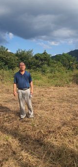 팜모닝 자유주제·자유게시판 게시글 이미지