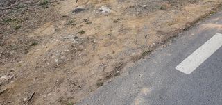 ㄱ 무주 우담님의 자유주제 · 자유게시판 작성글 사진