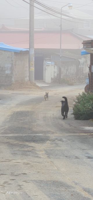 아홍팜님의 자유주제 · 자유게시판 작성글 사진