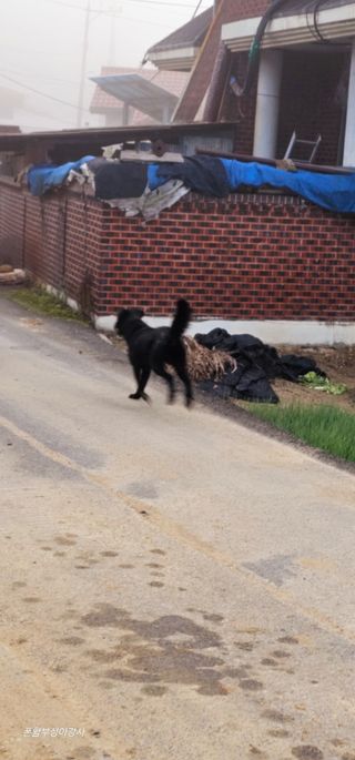 아홍팜님의 자유주제 · 자유게시판 작성글 사진